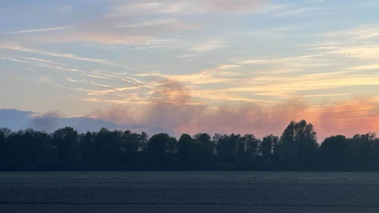 The smoke of the fire in the Loonse and Drunense Duinen (photo: Imke van de Laar).