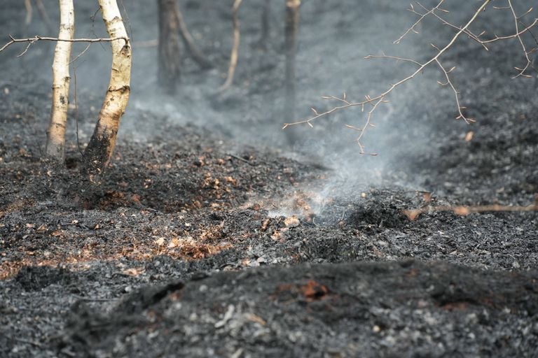 There is still a lot of heat in the ground (photo: Heitink news agency).