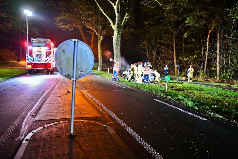 Photo: Rico Vogels/Persbureau Heitink.