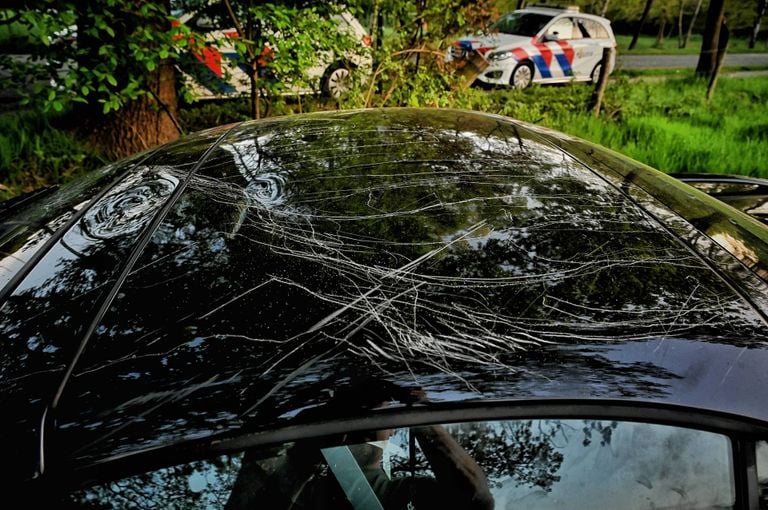 Drunk driver crashes through barbed wire (photo: Toby de Kort/ press agency Heitink).