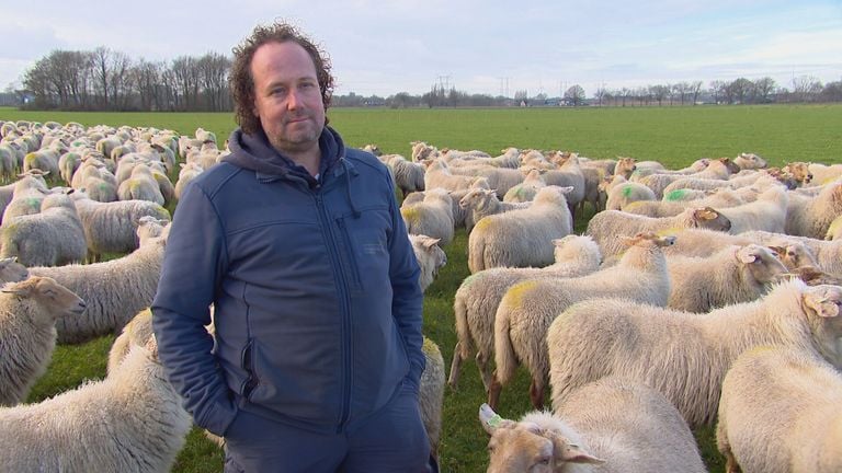 Schaapherder Bart van Ekkendonk from Loon op Zand (Photo: Omroep Brabant)