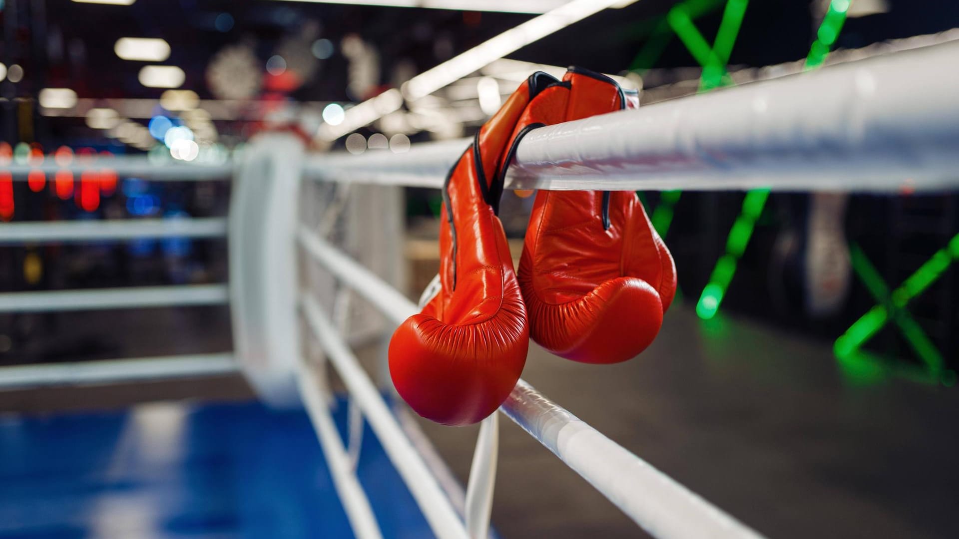 Box gloves in the ring (symbol image): Numerous police officers moved.