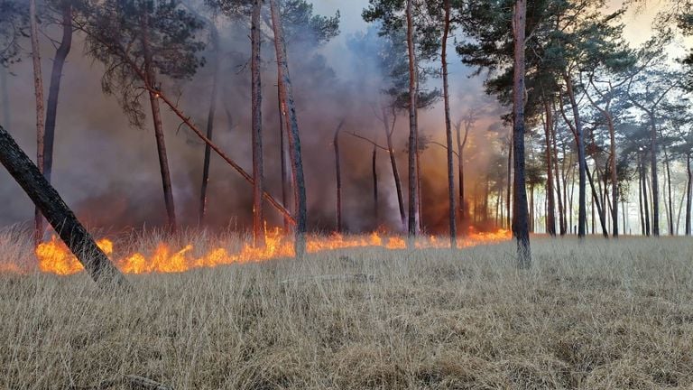 Photo: Erik Haverhals/Persbureau Heitink. 