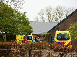 https://api.omroepbrabant.nl/img/f/$width$/$height$/0.5/0.5/bWVkaWEvcHJvZC80Njc3NjY5LmpwZz9zdj0yMDE5LTA3LTA3JnN0PTIwMjAtMDEtMDFUMDAlM0Ew MCUzQTAwWiZzZT0yMDQwLTAxLTAxVDAwJTNBMDAlM0EwMFomc3I9YiZzcD1yJnNpZz1YOHV5b2IlMkZWQm9lTGh1bWRrRGtYUUFJV0R1ZGxIcXVpT0Q2UlUycFMlMkJCRSUzRA==