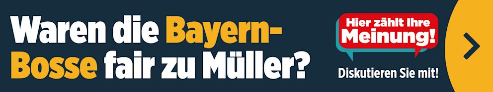 Teaser-Bild