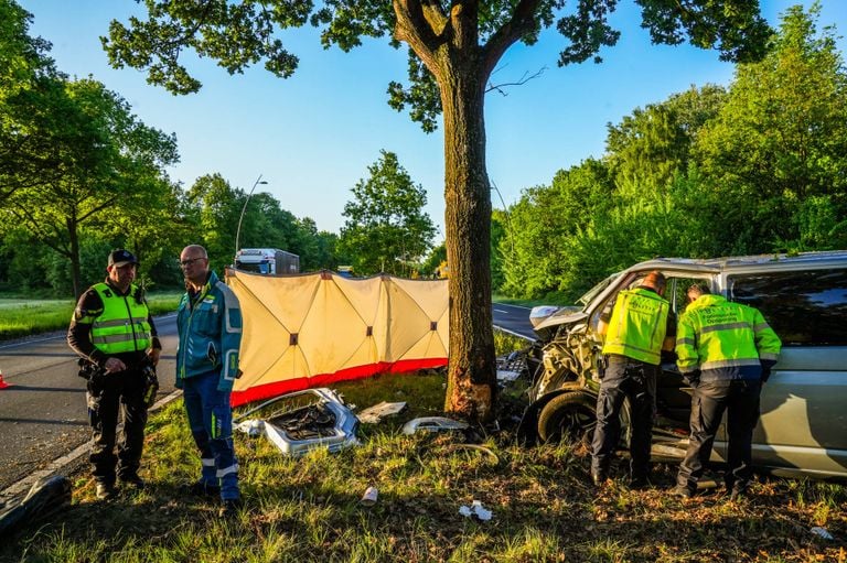 Photo: Dave Hendriks/Heitink news agency.