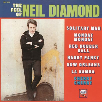 The-Feel-of-Neil-Diamond