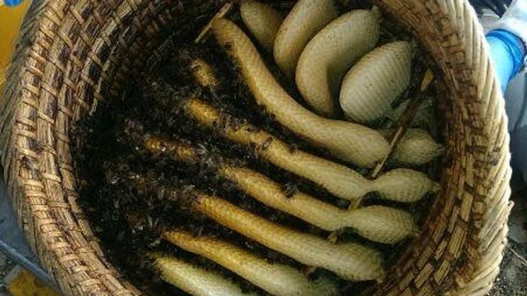 The bees were in a braided basket (photo: Marcel Horck).