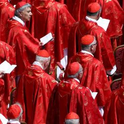 Cardinals | Photo: Bloomberg