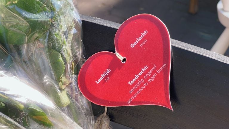 Reminder of a 19-year traffic victim from Uden (photo: Jan Peels).