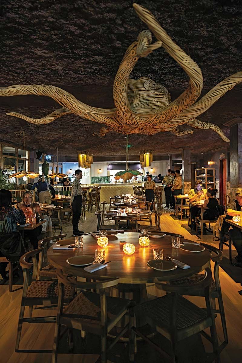 Tigre Purple Restaurant