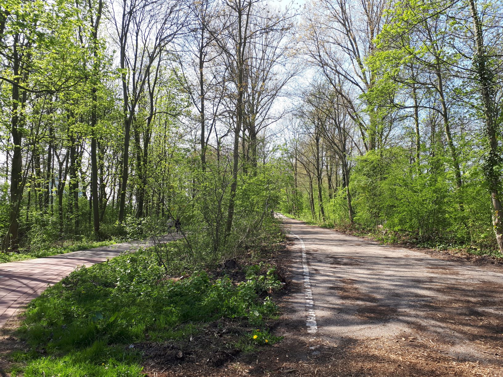 Footpath Meerzicht