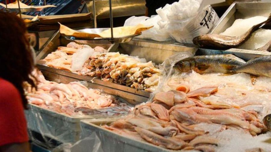 Shrimp