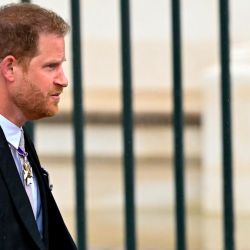 Prince Harry | Photo: CEDOC