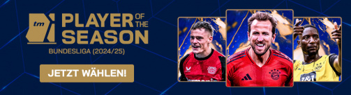 © Transfermarkt - Now choose the player of the season in the Bundesliga! (Link to choose)