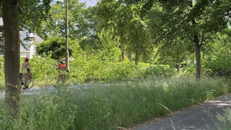 Firefighters announced cyclists that the bicycle path was blocked (photo: Gabriël Karreman).