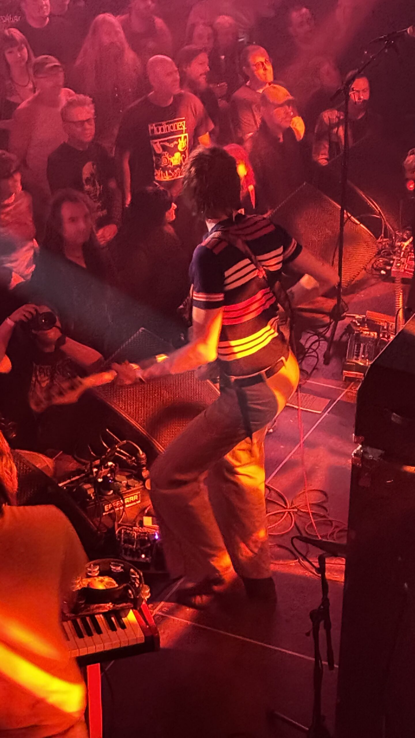 Floral image at the Fuzz Club