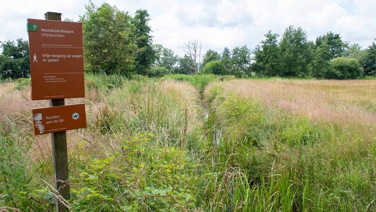 De Wijst (photo: Vogelwacht Uden).