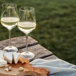 Chardonnay | Photo: CEDOC