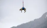 A wounded cow was evacuated with a helicopter.
