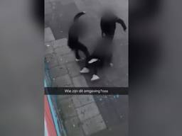 https://api.oMroepbrabant.nl/img/f/$width$/$height$/0.52/0.37/bwvkawewevchjvzcwmzu0lmpwz9zdj0ymde5lta3lta3jnnepmdetmdtiwmdptiwmdptiwmdptiwmdptiwmdptiwmdptiwmdptiwmdptiwmdptiwmdptiwmdptiwmdptiwmdti CUzQTAwWiZzZT0yMDQwLTAxLTAxVDAwJTNBMDAlM0EwMFomc3I9YiZzcD1yJnNpZz1ERXFzeTVITSUyRkNINXpjMUZSNDAlMkJ5elQ4JTJCVyUyRlR0elZqVnM2ellxMGh2MzglM0Q=