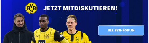 Have a say in the forum about the BVB!
