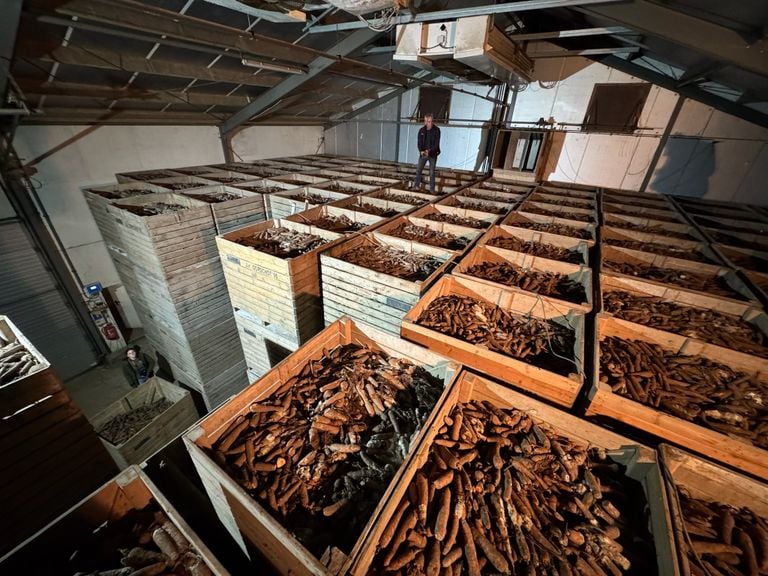 Jack above his two hundred tons of carrots (photo: no waste army).