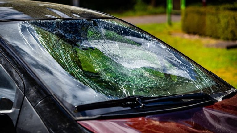 The windshield is cracked by the blow (photo: Lucas Lammers / press agency Heitink).