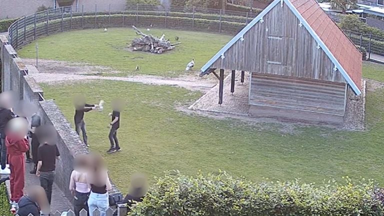 The scene is recorded with surveillance cameras (photo: security images in private).