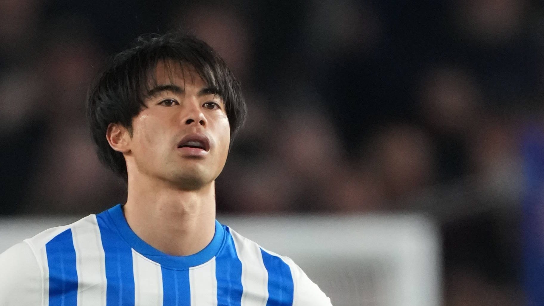 Kaoru witha: He has been playing for Brighton since 2022.