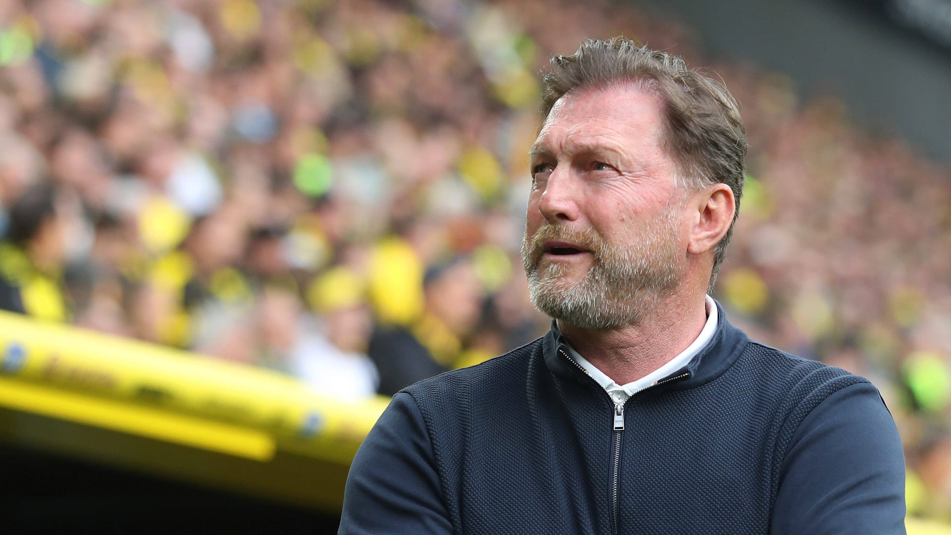 Ralf Hasenhüttl: He has been training VfL Wolfsburg since March 2024.