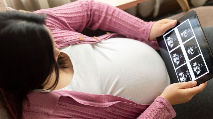 Pregnancy