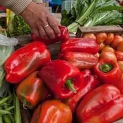 Vegetables | Photo: CEDOC