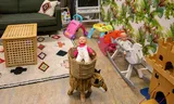 Toys in a room of permanently safe in Amsterdam.