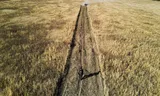 A Ukrainian mine clearance team at work in a field in Svjatohirsk, north of Slovjansk.