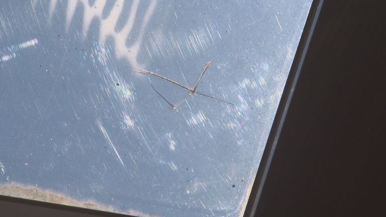 In Mark's skylight there is a scratch through the steel ball (image: Omroep Brabant).
