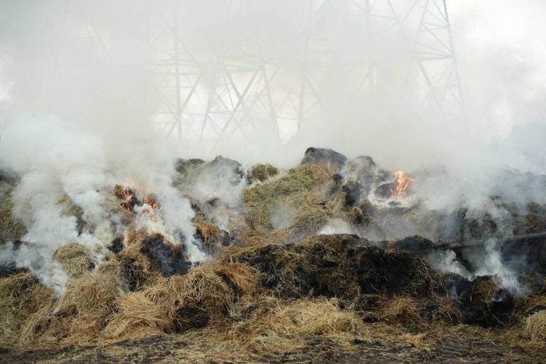 Photo: Erik Haverhals/Persbureau Heitink.