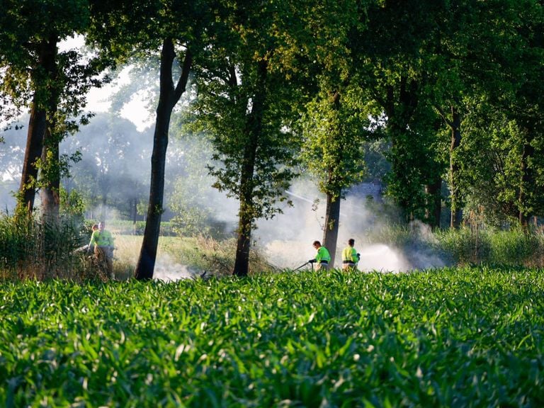 The fire brigade at work (photo: Addy Smits/press agency Heitink).