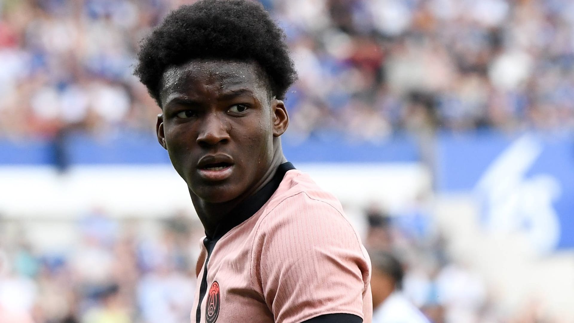 Axel Tape: He should increase Leverkusen in the long term. Axel Tape: He should increase Leverkusen in the long term.