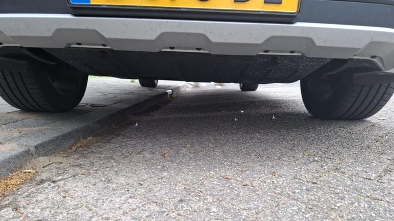The crow's feet under a car (photo: Maikel van Gestel).
