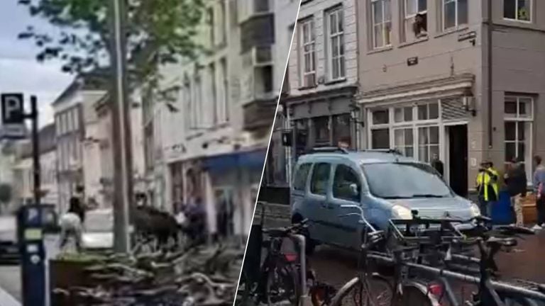 On the left: the car rams the horses, right: the car tears away.