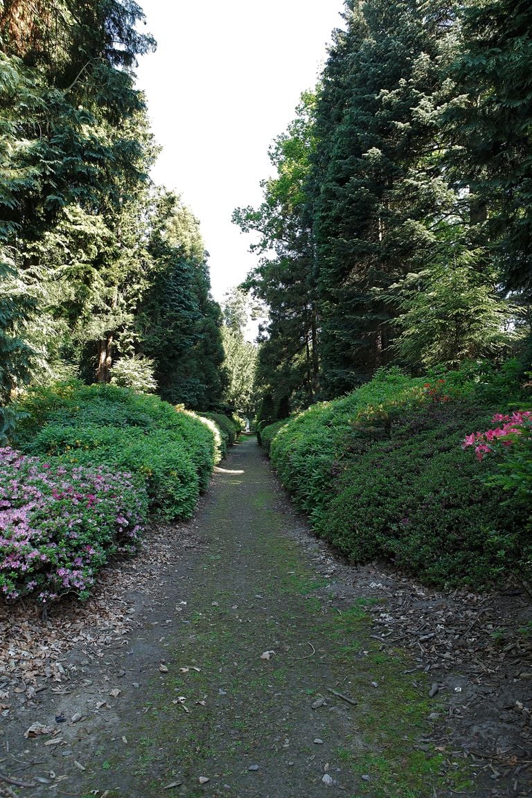 The Azalealaantje (photo: Municipality of Eindhoven).