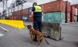 A customs agent stands next to a series of containers in the port of Antwerp. 