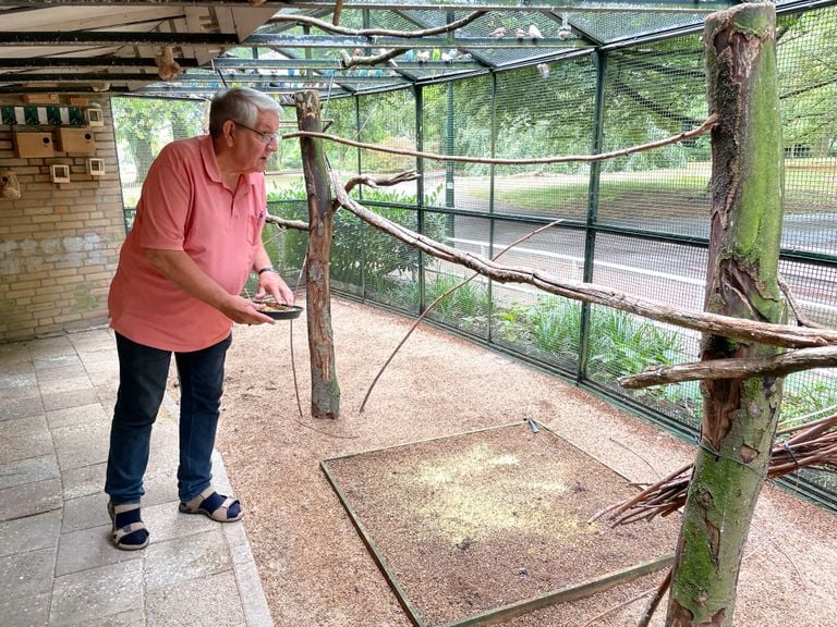 Henk gives the remaining birds food (photo: Raymond Merkx).
