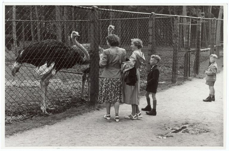Visitors in the early 1950s (photo: Adriaan van Beurden/ Regional Archive Tilburg).