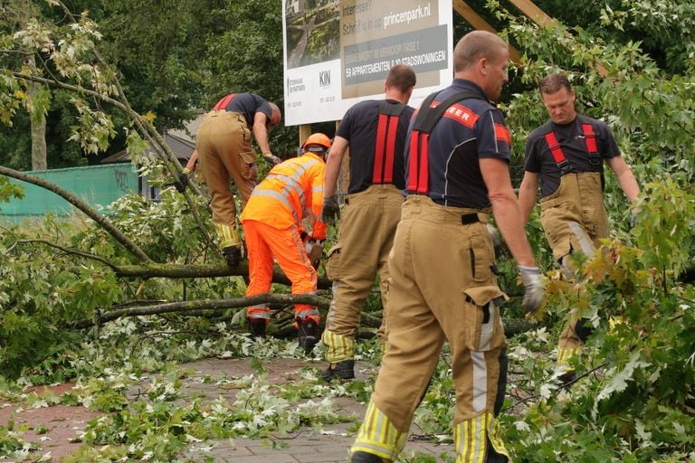 Firefighters sawed the branch in Mootjes (photo: Perry Roovers/Press Office Heiti