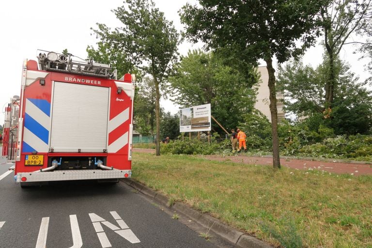 Photo: Heitink news agency.