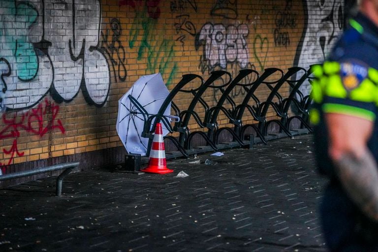 The place where evidence was found (photo: Heitink news agency).