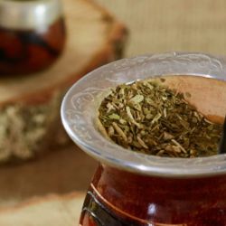 Yerba mate | Photo: CEDOC