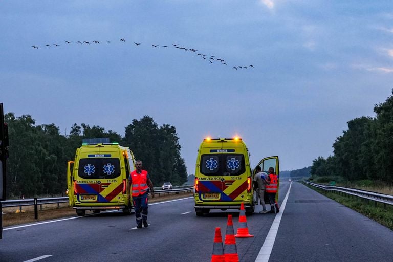 Photo: Harrie Grikeseels/press agency Heitink.